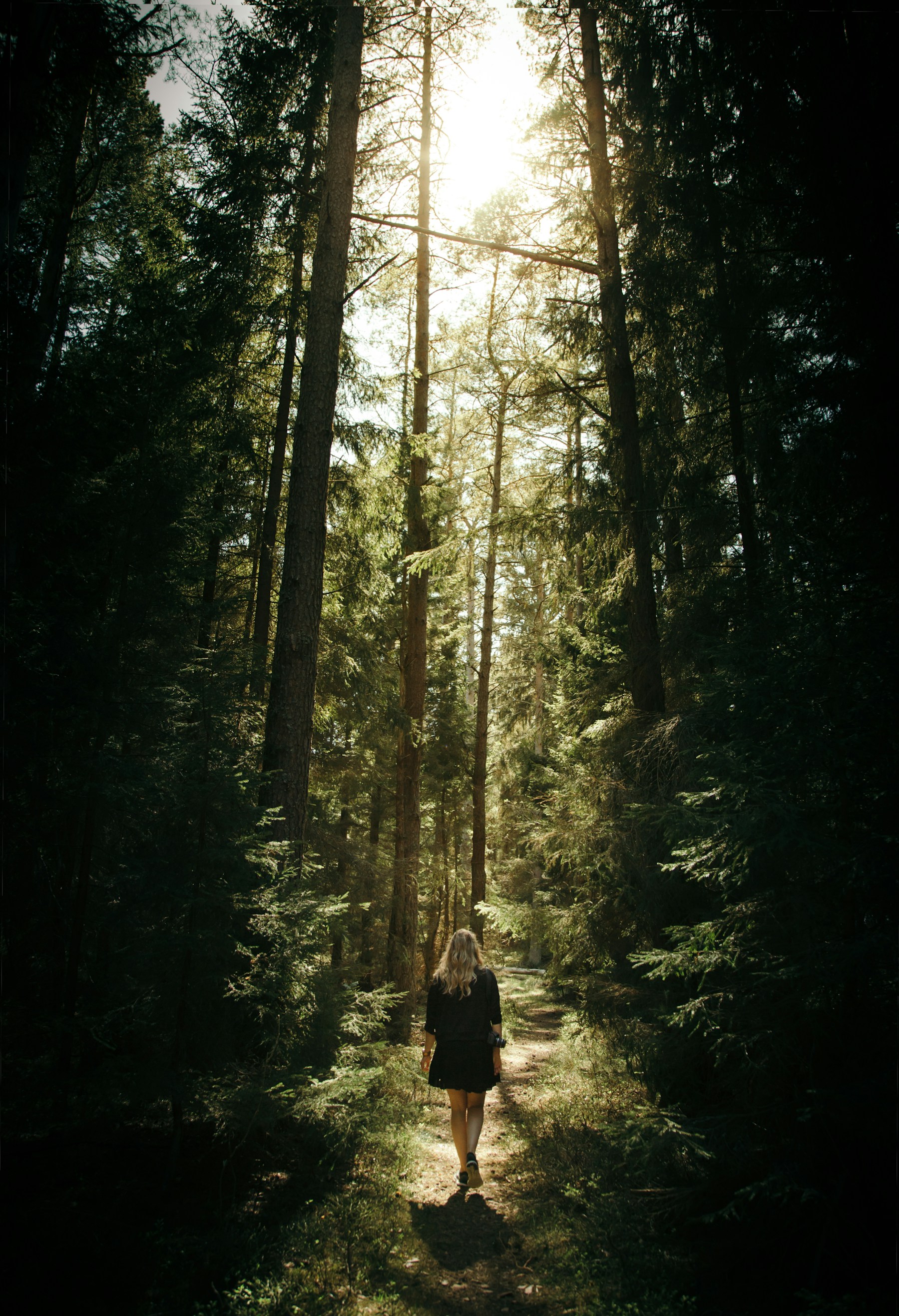 woman walking in the forest